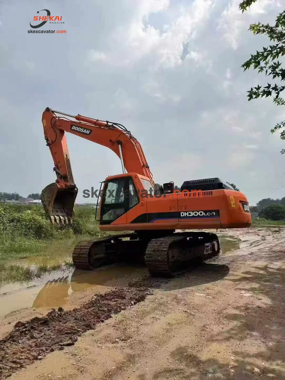 Used Doosan DH300LC-7 Crawler Excavator for sale from China